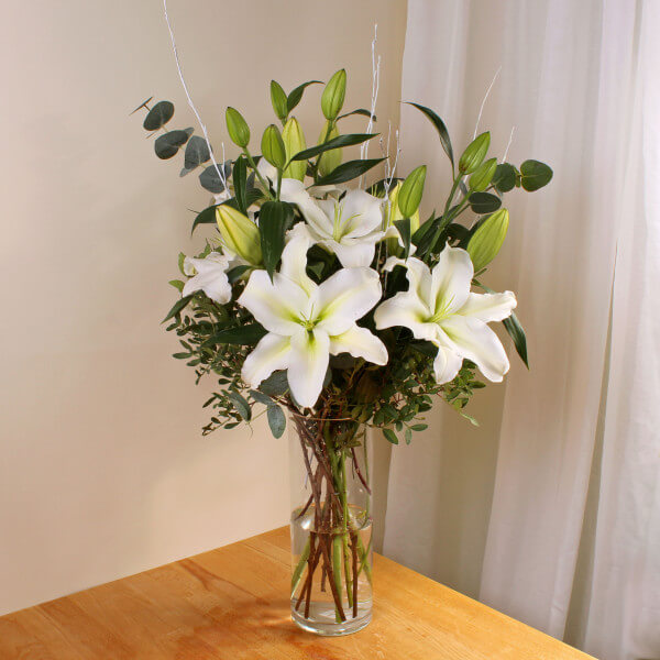 Snow Lilies