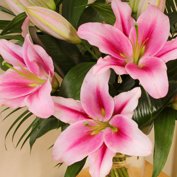 Blush Lily Bouquet