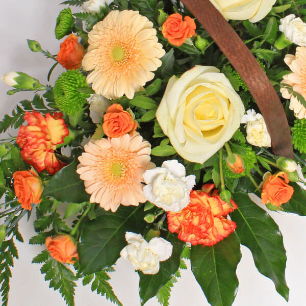 Citrus Lime Basket