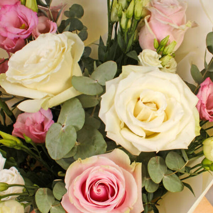 Elegant Blush