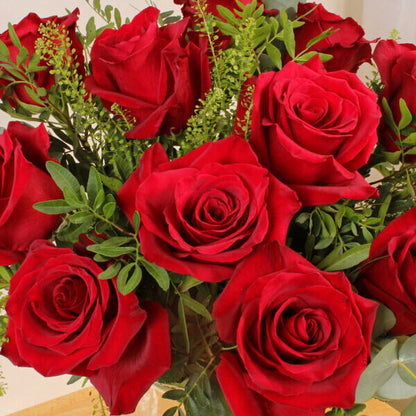 Scarlet Twelve