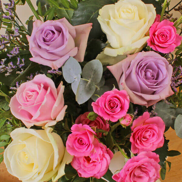 Pastel Charm Roses