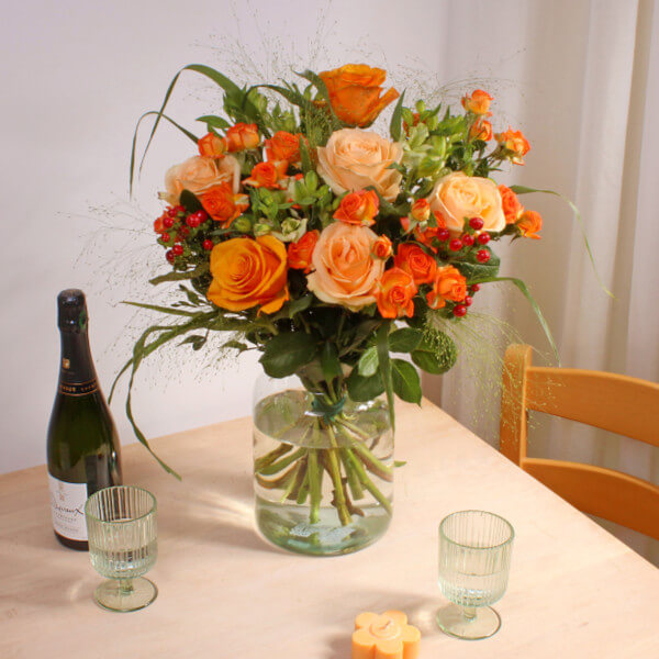 Apricot Glow