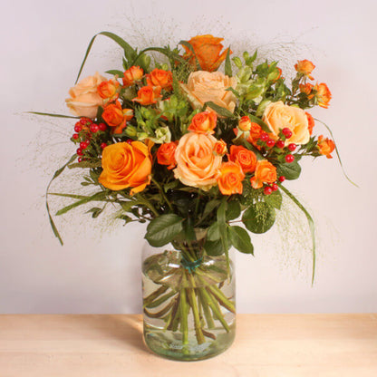 Apricot Glow