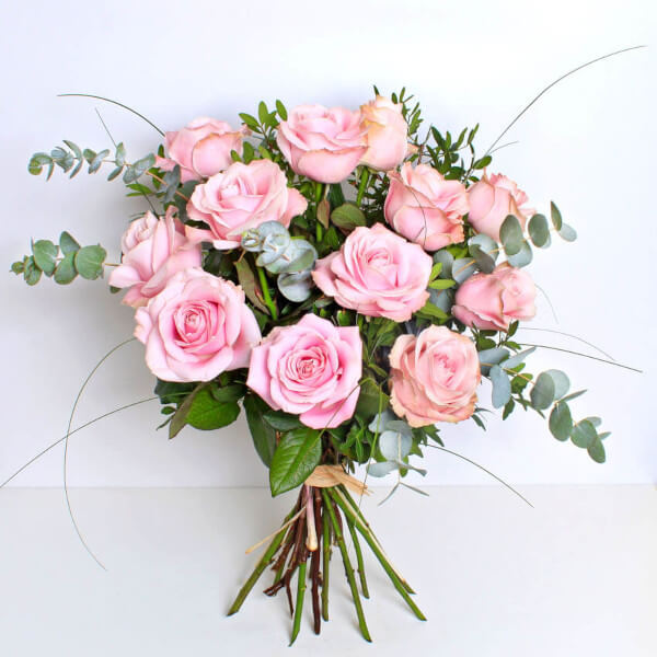 Rose Blush