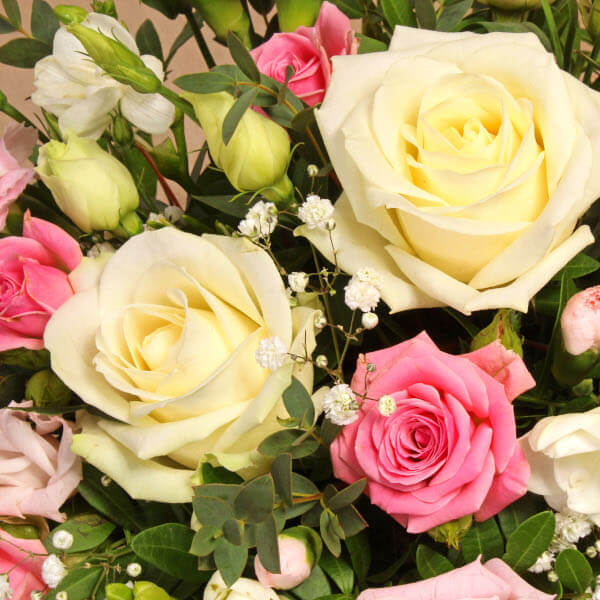 Pastel Sophia Hatbox