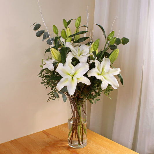 Snow Lilies