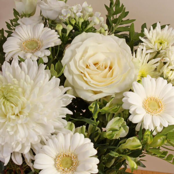 Ivory Bloom Box