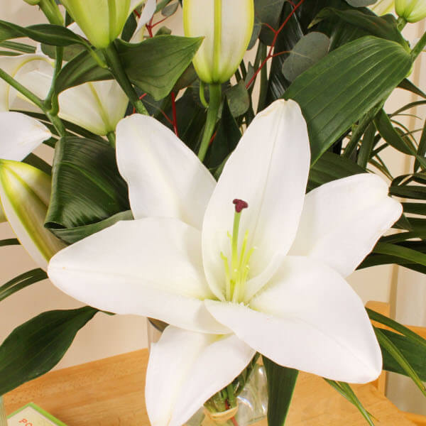 Snow Lily Bouquet
