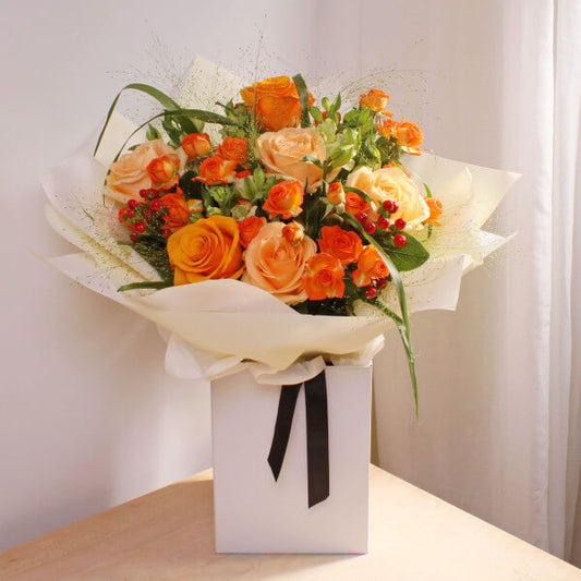 Apricot Glow
